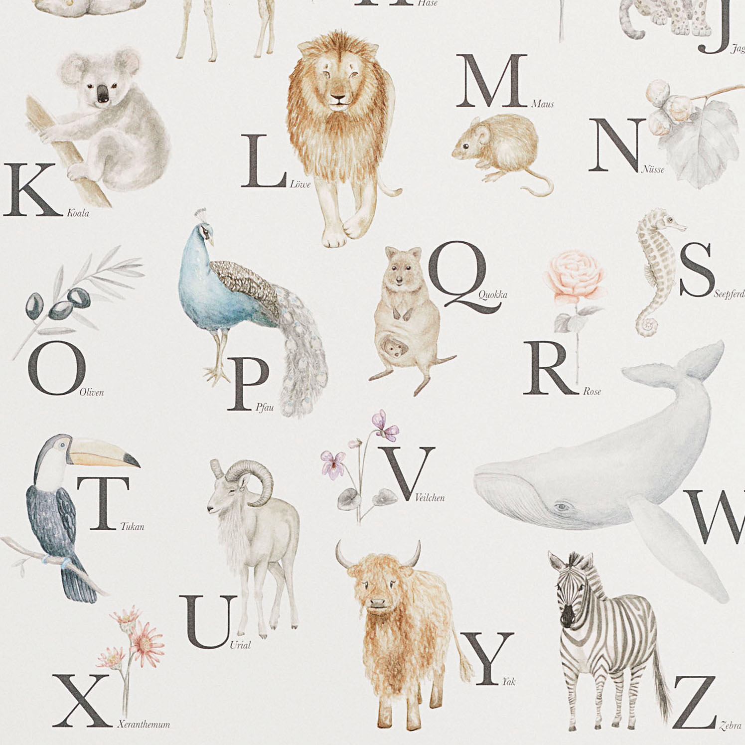 Cam Cam Poster \'Alphabet & Tiere\' creme 42x59cm online kaufen