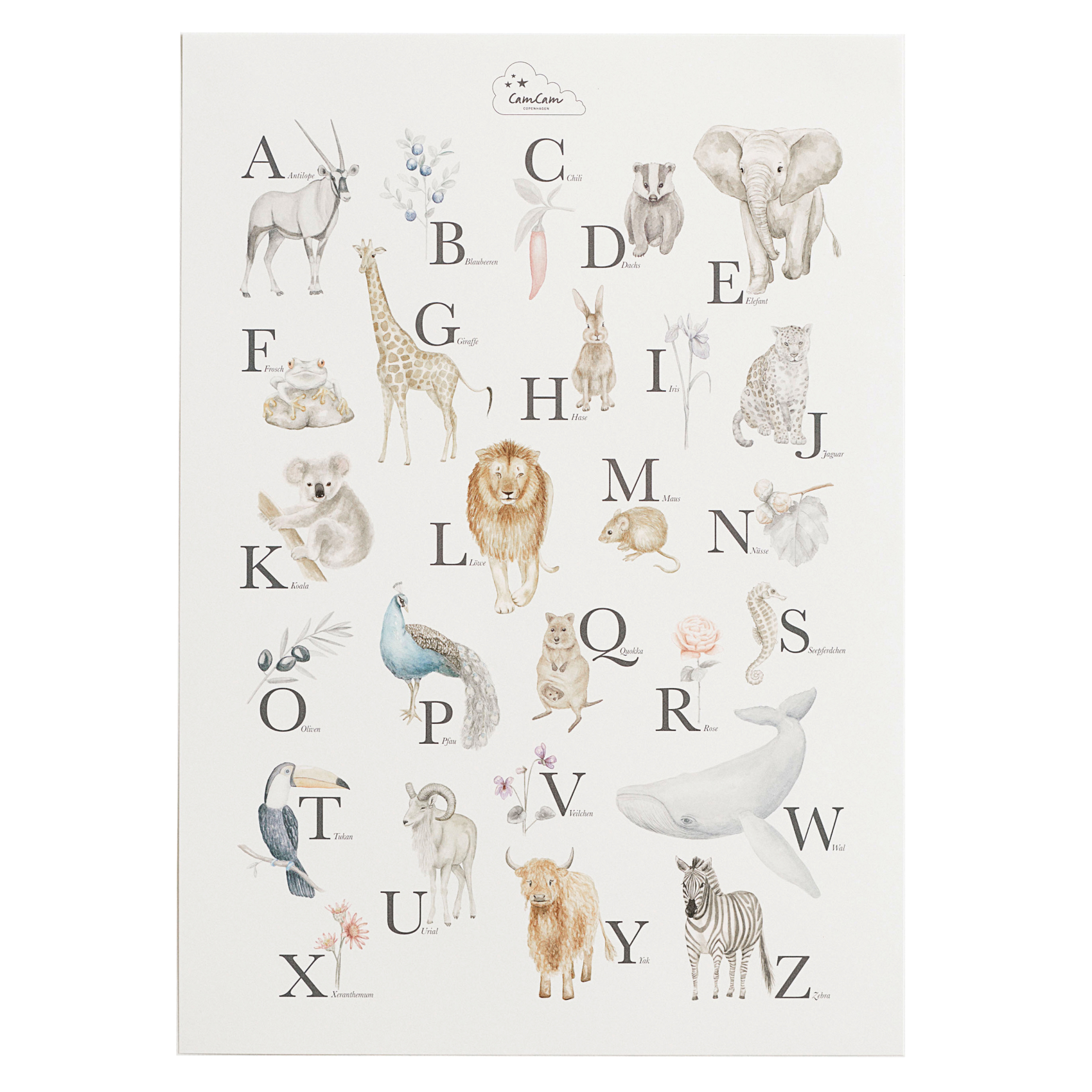 Cam Cam Poster \'Alphabet Tiere\' 42x59cm & creme online kaufen